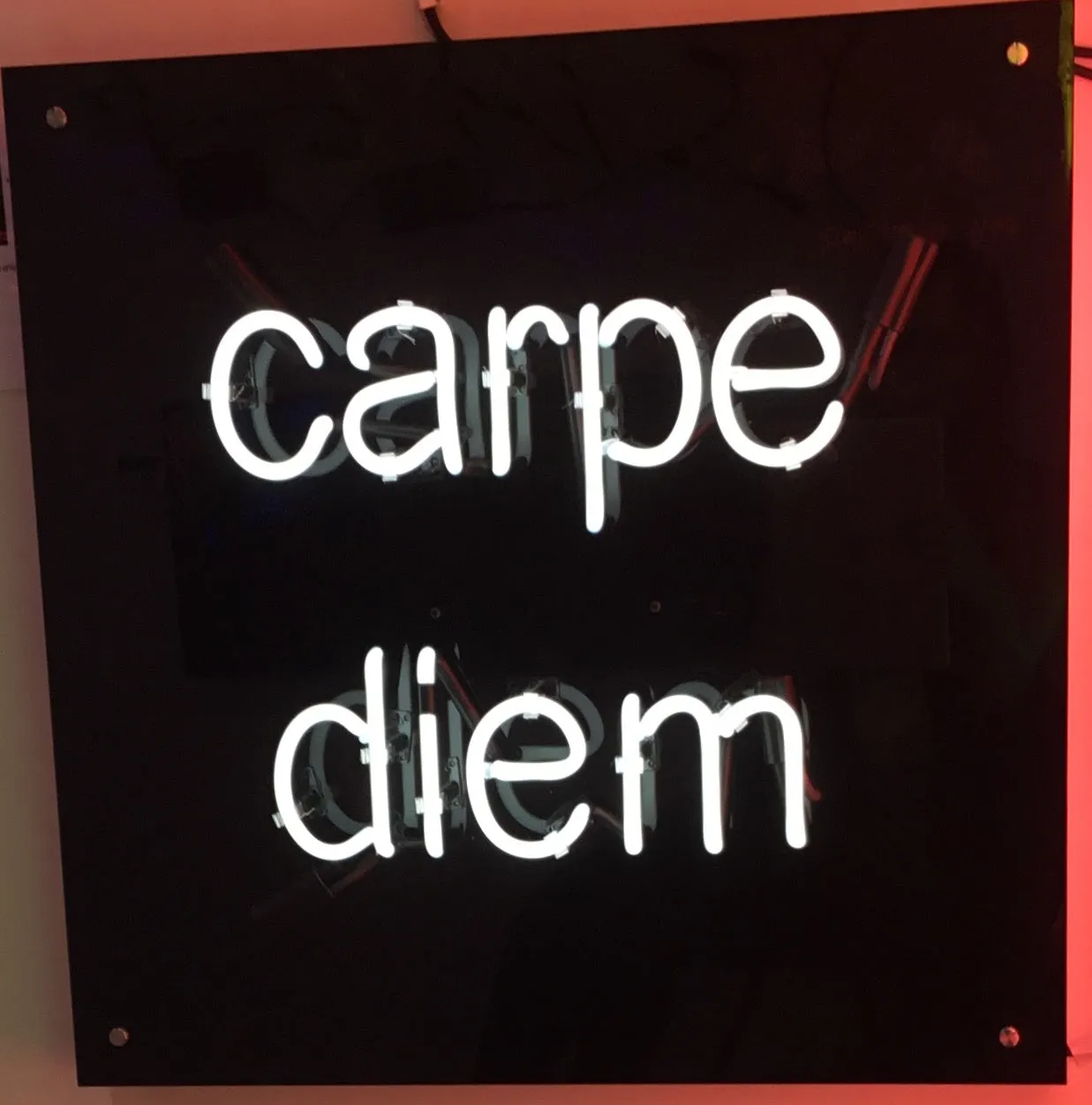 Carpe Diem