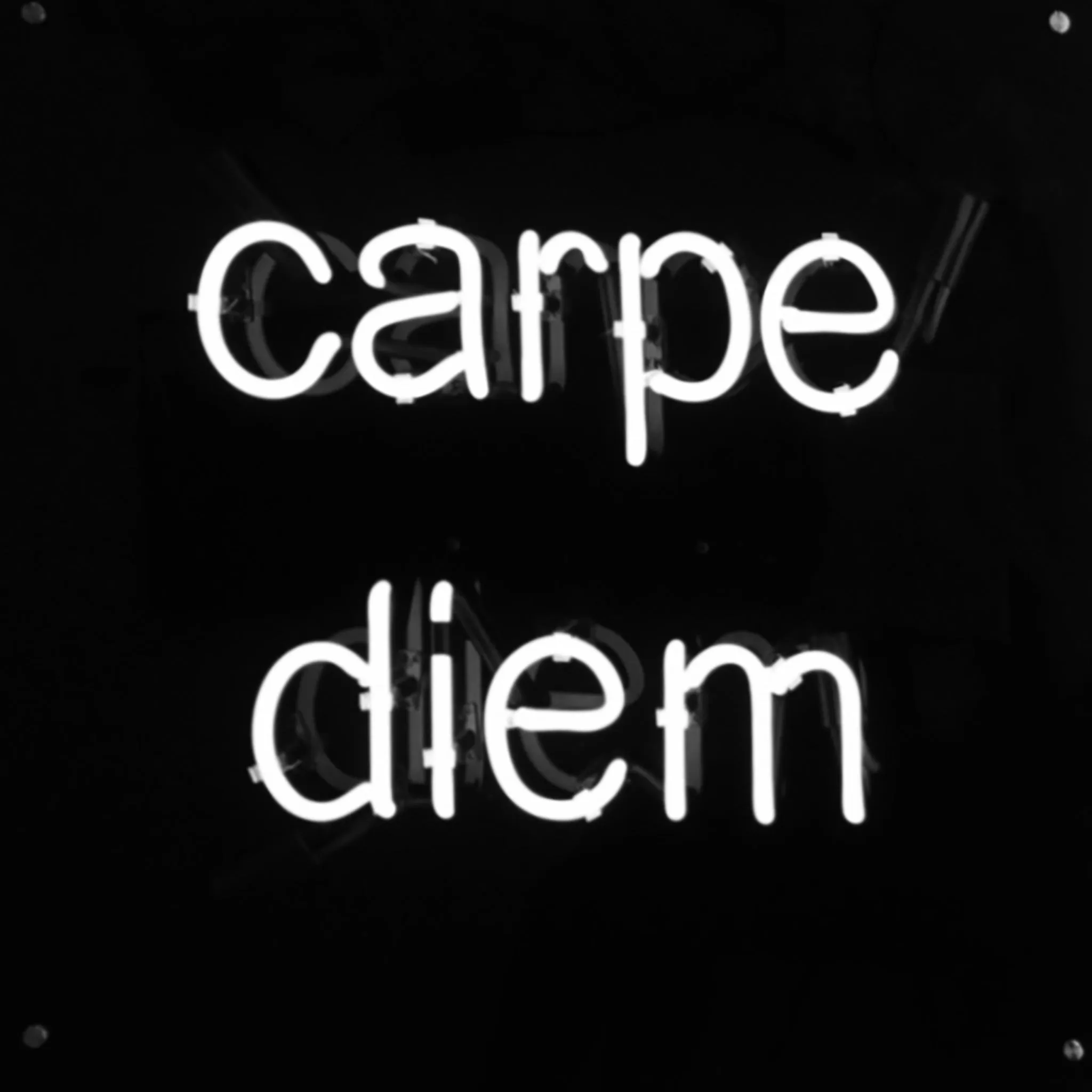 Carpe Diem