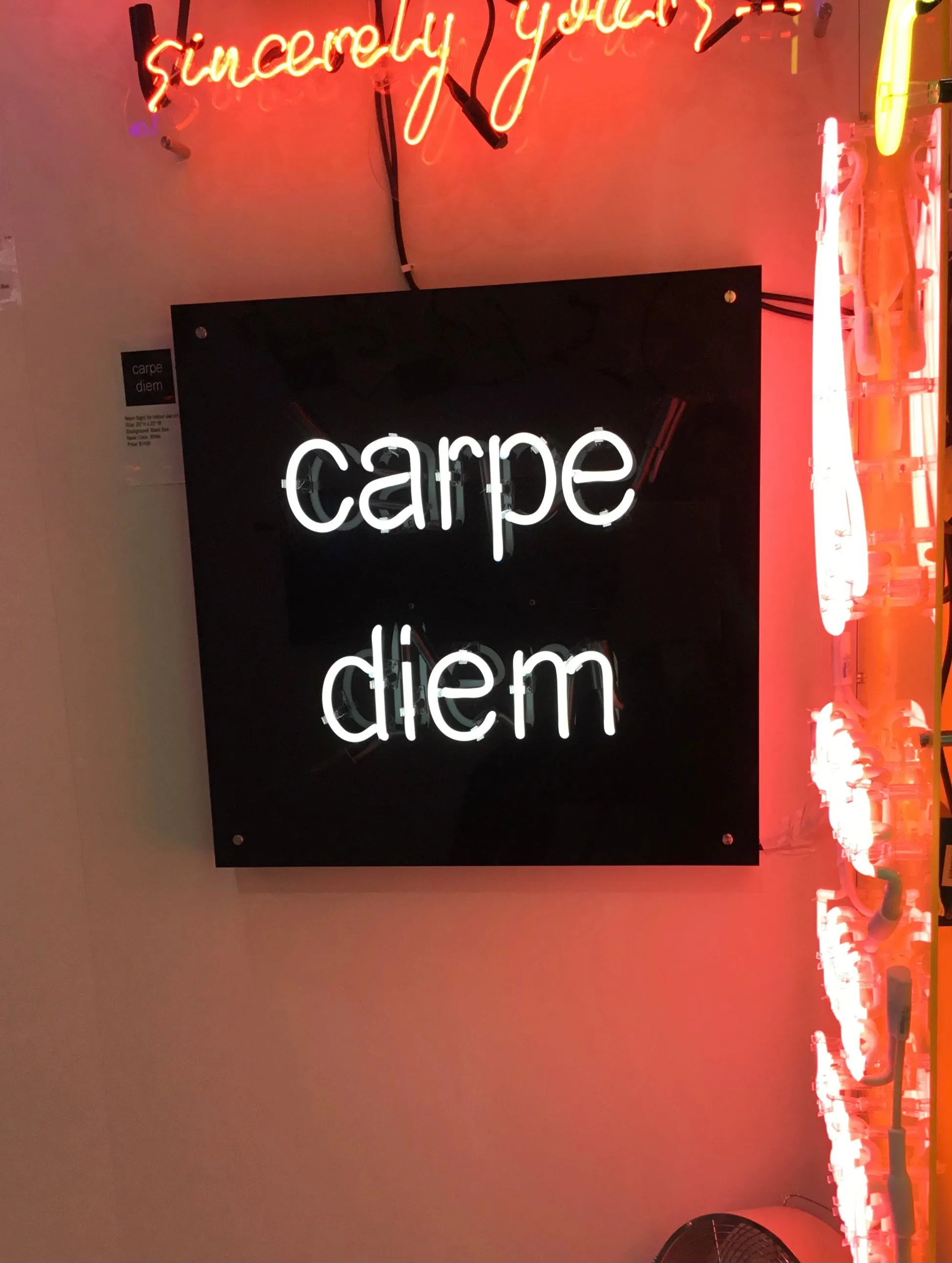 Carpe Diem